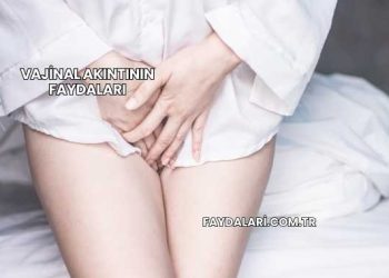 Vajinal Akıntının Faydaları