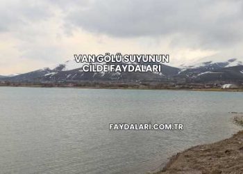 Van Gölü Suyunun Cilde Faydaları