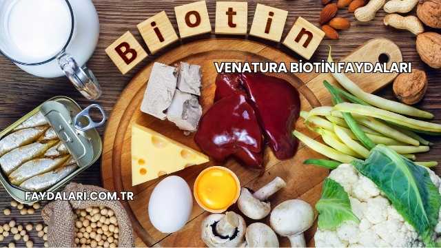 Venatura Biotin Faydaları