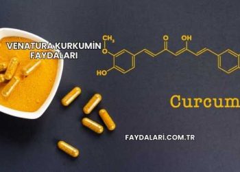 Venatura Kurkumin Faydaları
