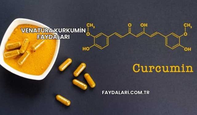 Venatura Kurkumin Faydaları