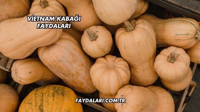 Vietnam Kabağı Faydaları