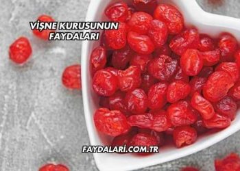 Vişne Kurusunun Faydaları