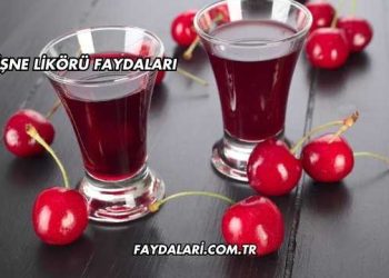Vişne Likörü Faydaları