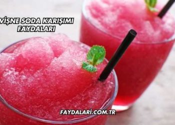 Vişne Soda Karışımı Faydaları