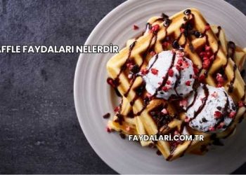 Waffle Faydaları Nelerdir