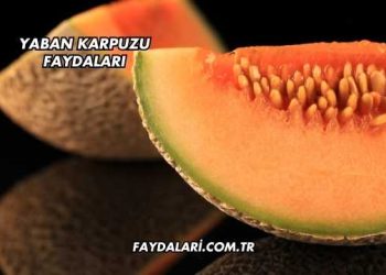 Yaban Karpuzu Faydaları