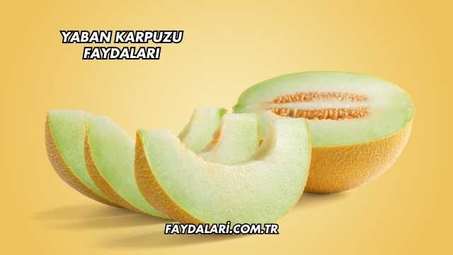 Yaban Karpuzu Faydaları