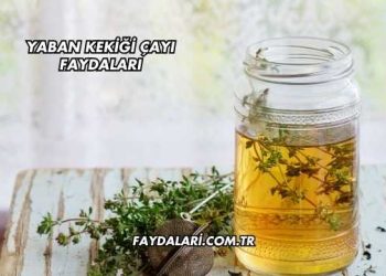 Yaban Kekiği Çayı Faydaları