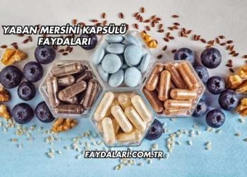 Yaban Mersini Kapsülü Faydaları