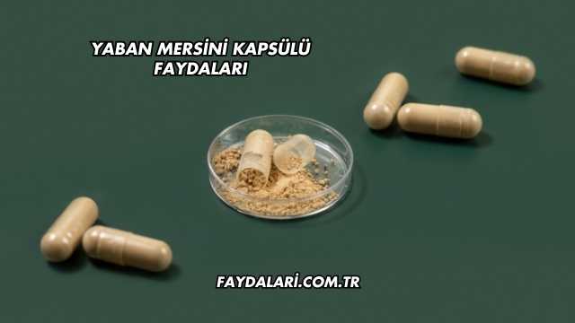 Yaban Mersini Kapsülü Faydaları