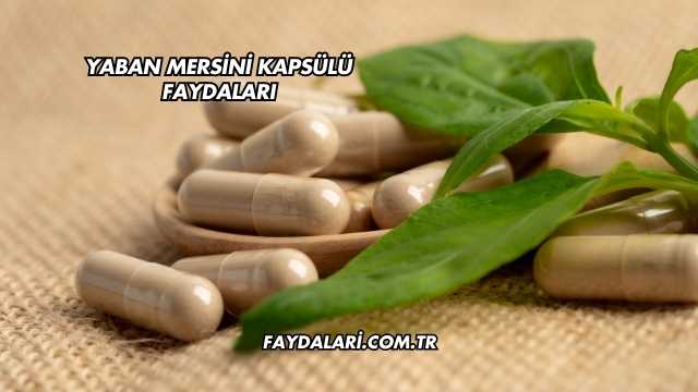 Yaban Mersini Kapsülü Faydaları