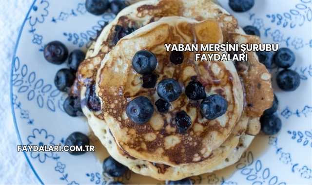 Yaban Mersini Şurubu Faydaları