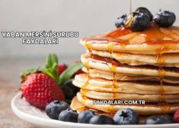 Yaban Mersini Şurubu Faydaları