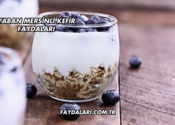 Yaban Mersinli Kefir Faydaları