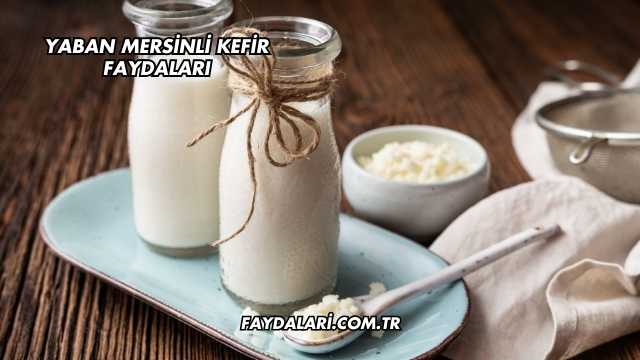 Yaban Mersinli Kefir Faydaları