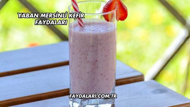 Yaban Mersinli Kefir Faydaları