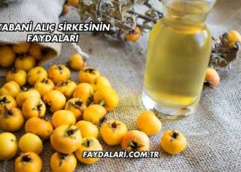 Yabani Alıç Sirkesinin Faydaları