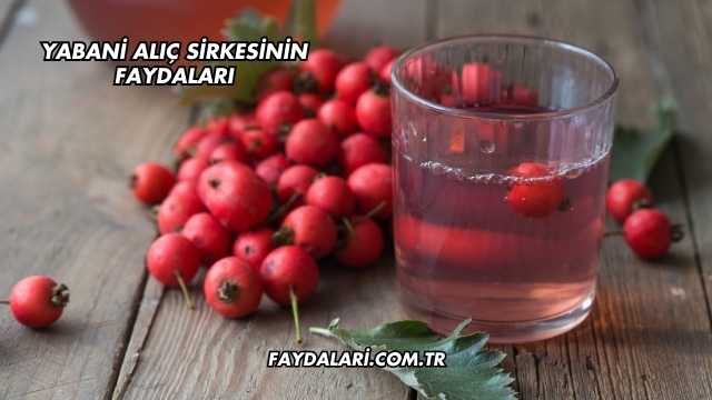 Yabani Alıç Sirkesinin Faydaları