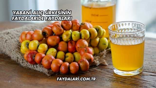 Yabani Alıç Sirkesinin Faydaları
