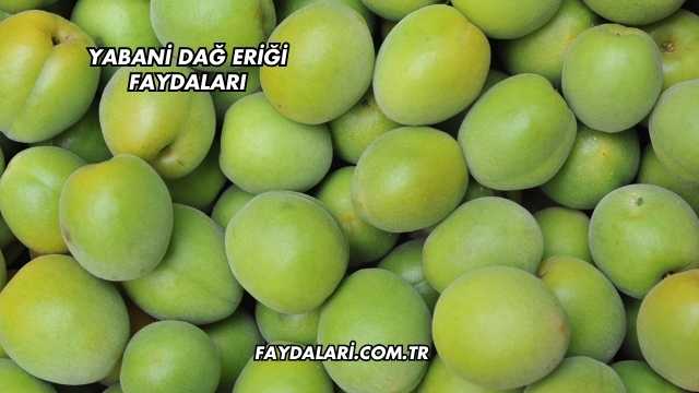 Yabani Dağ Eriği Faydaları