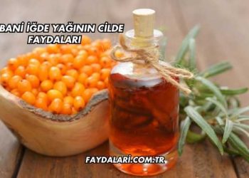 Yabani İğde Yağının Cilde Faydaları
