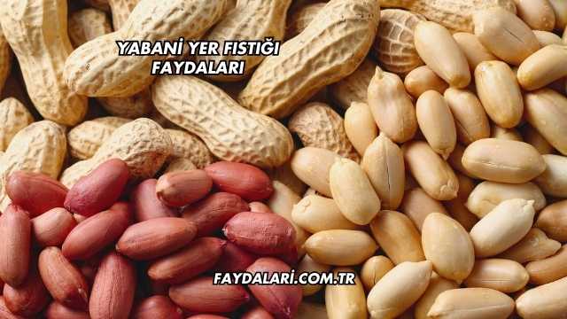 Yabani Yer Fıstığı Faydaları