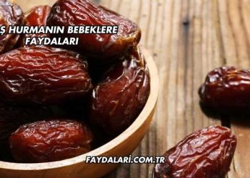 Yaş Hurmanın Bebeklere Faydaları