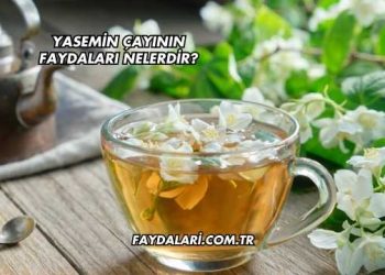 Yasemin Çayının Faydaları Nelerdir?