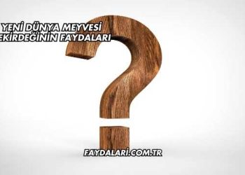 Yeni Dünya Meyvesi Çekirdeğinin Faydaları