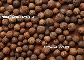 Yenibaharın Faydaları