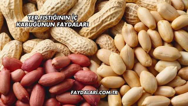Yer Fıstığının İç Kabuğunun Faydaları