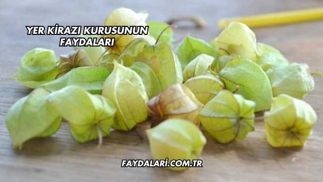 Yer Kirazı Kurusunun Faydaları