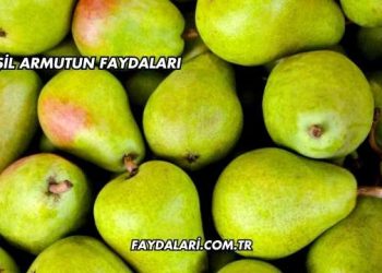 Yeşil Armutun Faydaları