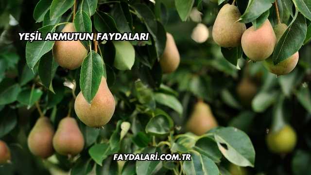 Yeşil Armutun Faydaları