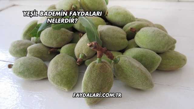 Yeşil Bademin Faydaları Nelerdir?