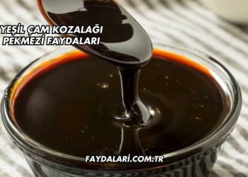 Yeşil Çam Kozalağı Pekmezi Faydaları