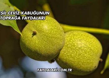 Yeşil Ceviz Kabuğunun Toprağa Faydaları