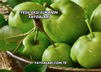 Yeşil Ekşi Elmanın Faydaları