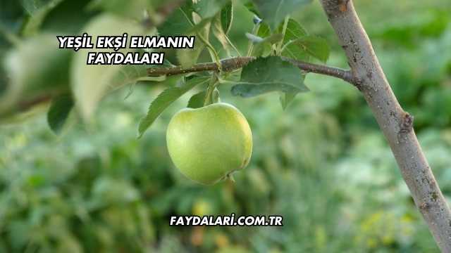 Yeşil Ekşi Elmanın Faydaları