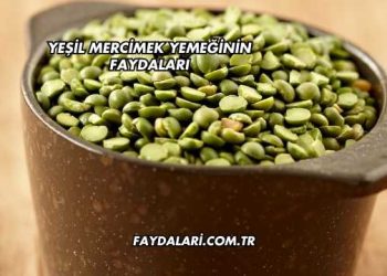 Yeşil Mercimek Yemeğinin Faydaları