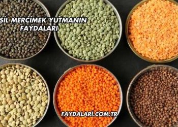 Yeşil Mercimek Yutmanın Faydaları