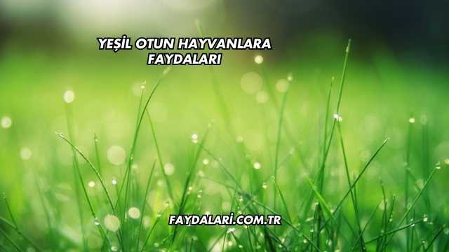 Yeşil Otun Hayvanlara Faydaları