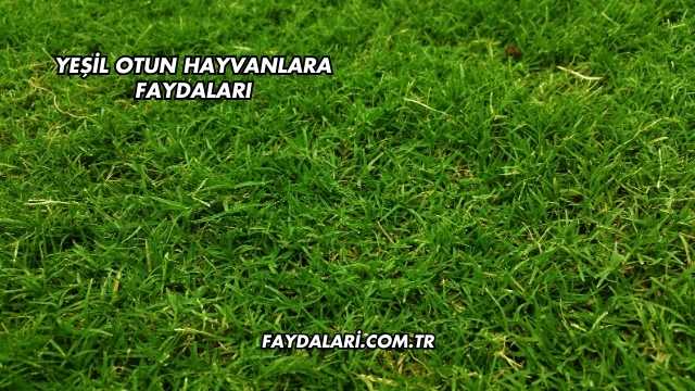 Yeşil Otun Hayvanlara Faydaları