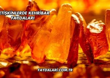 Yetişkinlerde Kehribar Faydaları