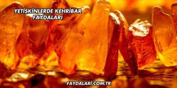 Yetişkinlerde Kehribar Faydaları