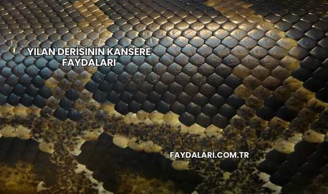 Yılan Derisinin Kansere Faydaları