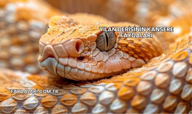 Yılan Derisinin Kansere Faydaları