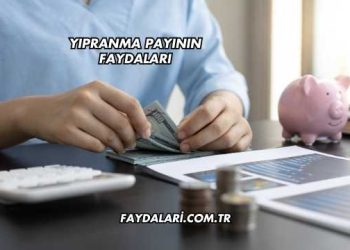 Yıpranma Payının Faydaları