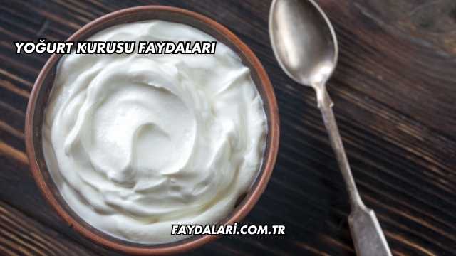 Yoğurt Kurusu Faydaları